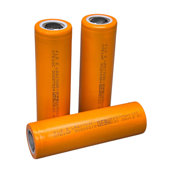 Lishen LR2170SK 5800 mAh 17 фото